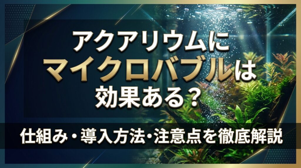 アクアリウムにマイクロバブルは効果ある？仕組み・導入方法・注意点を徹底解説
