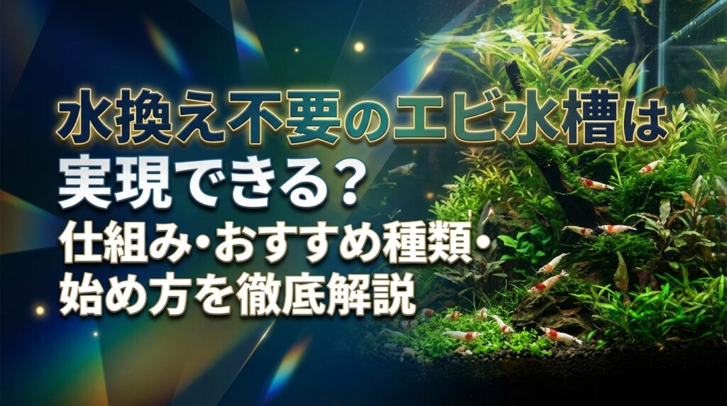 水換え不要のエビ水槽は実現できる？仕組み・おすすめ種類・始め方を徹底解説