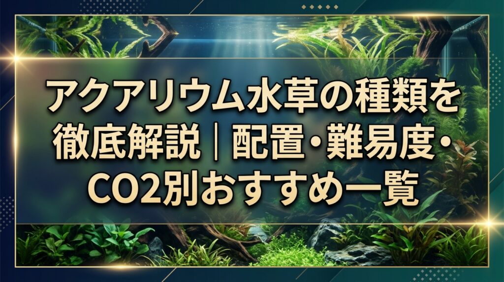 アクアリウム水草の種類を徹底解説｜配置・難易度・CO2別おすすめ一覧