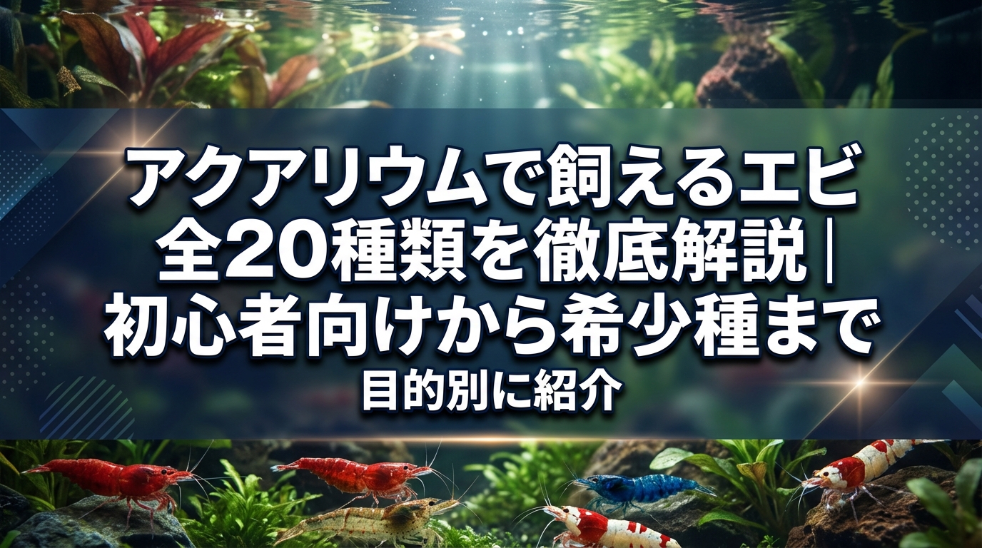 アクアリウムで飼えるエビ全20種類を徹底解説|初心者向けから希少種まで目的別に紹介