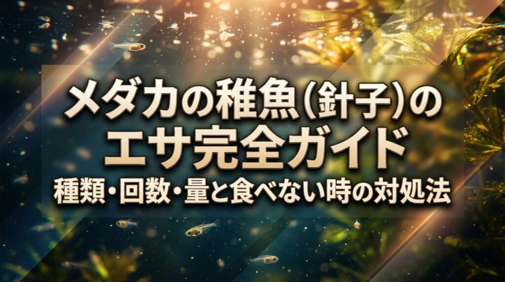メダカの稚魚（針子）のエサ完全ガイド｜種類・回数・量と食べない時の対処法