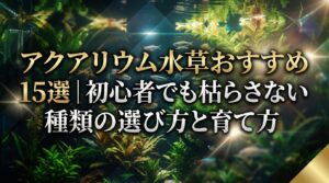 アクアリウム水草おすすめ15選｜初心者でも枯らさない種類の選び方と育て方