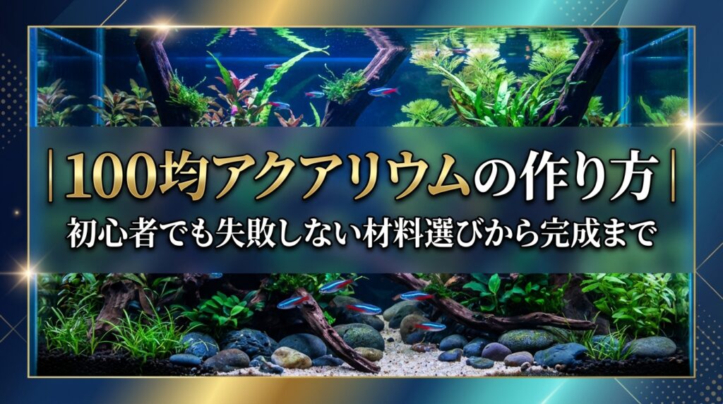 100均アクアリウムの作り方｜初心者でも失敗しない材料選びから完成まで