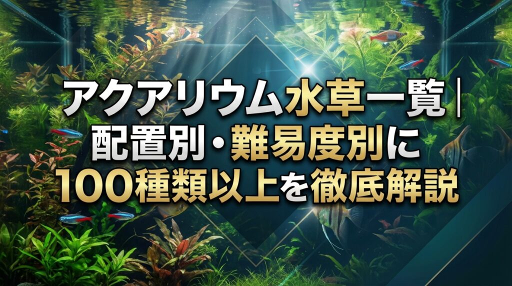 アクアリウム水草一覧｜配置別・難易度別に100種類以上を徹底解説