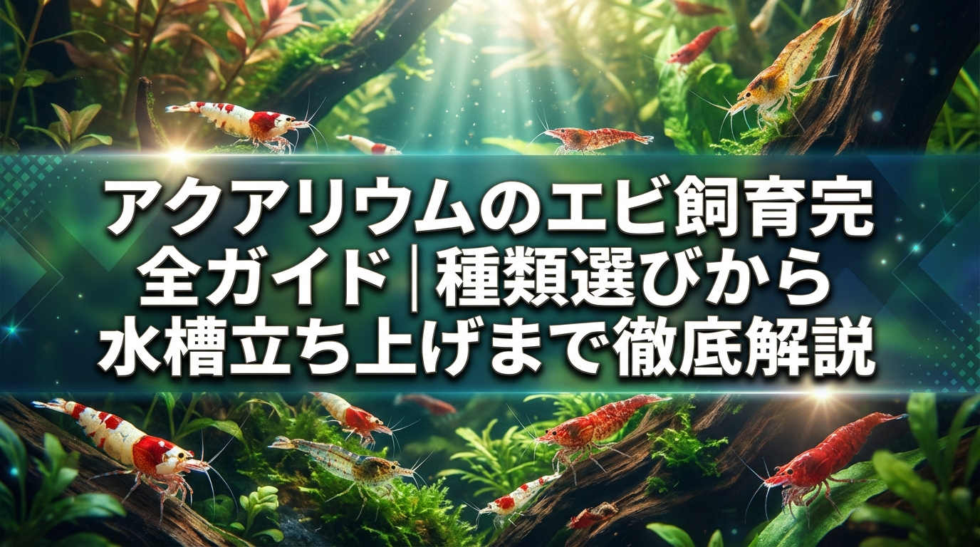 アクアリウムのエビ飼育完全ガイド｜種類選びから水槽立ち上げまで徹底解説