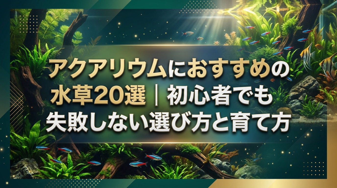 アクアリウムにおすすめの水草20選｜初心者でも失敗しない選び方と育て方