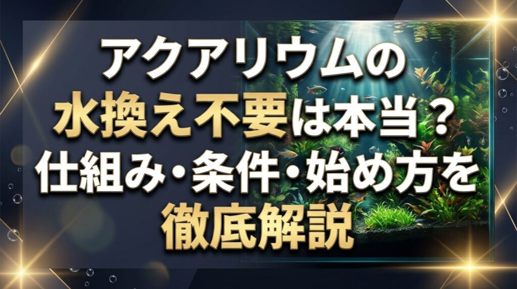アクアリウムの水換え不要は本当？仕組み・条件・始め方を徹底解説