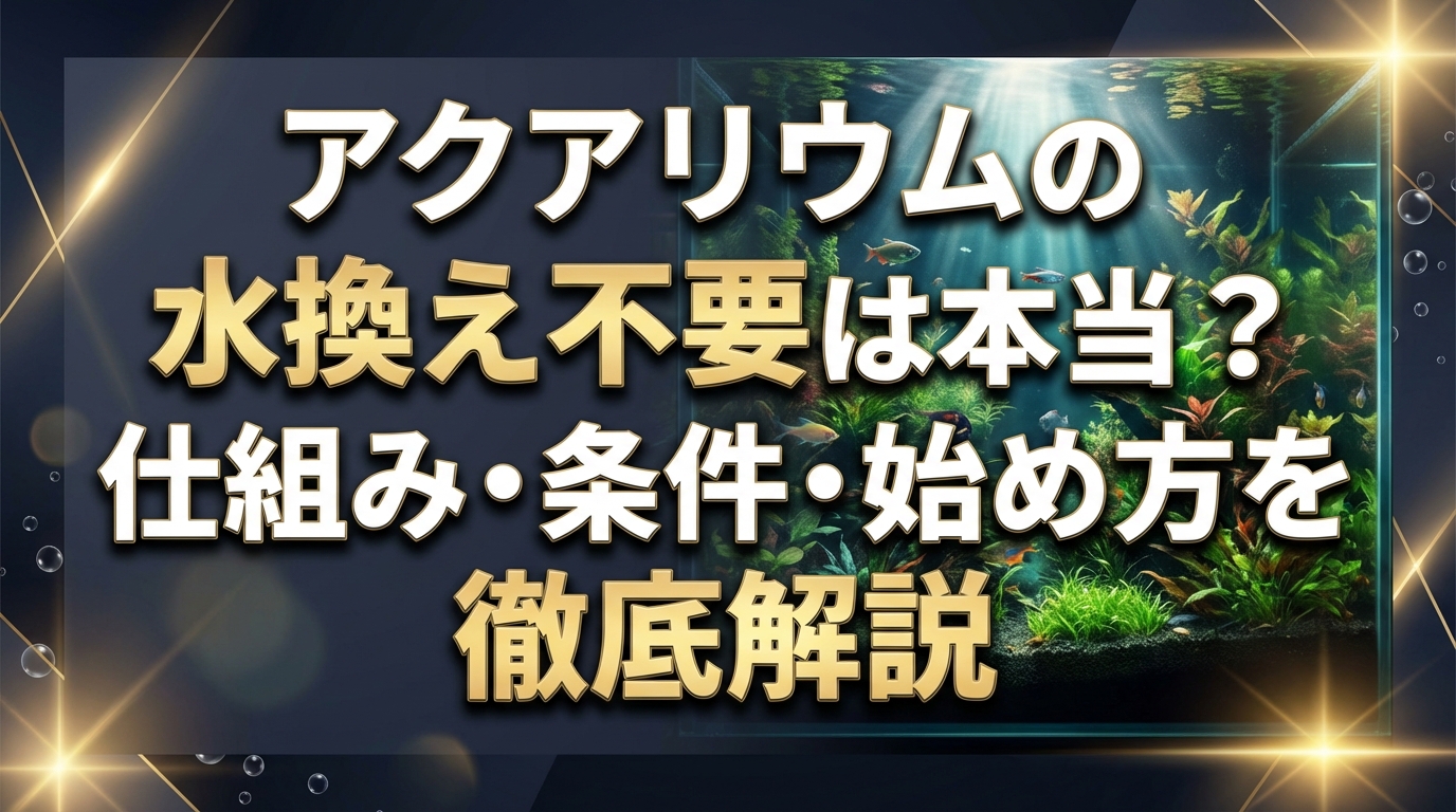 アクアリウムの水換え不要は本当?仕組み・条件・始め方を徹底解説