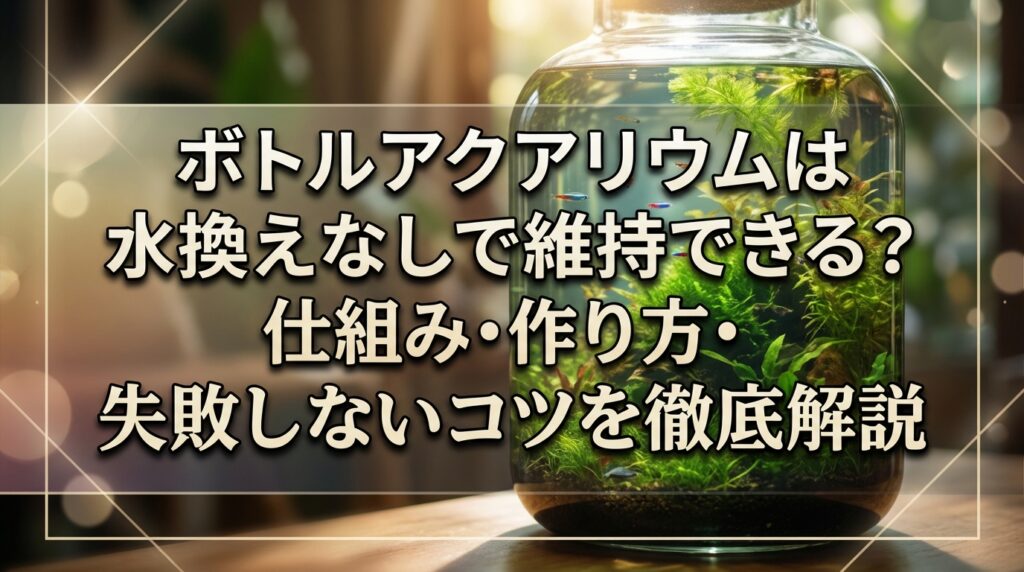 ボトルアクアリウムは水換えなしで維持できる？仕組み・作り方・失敗しないコツを徹底解説