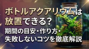 ボトルアクアリウムは放置できる？期間の目安・作り方・失敗しないコツを徹底解説