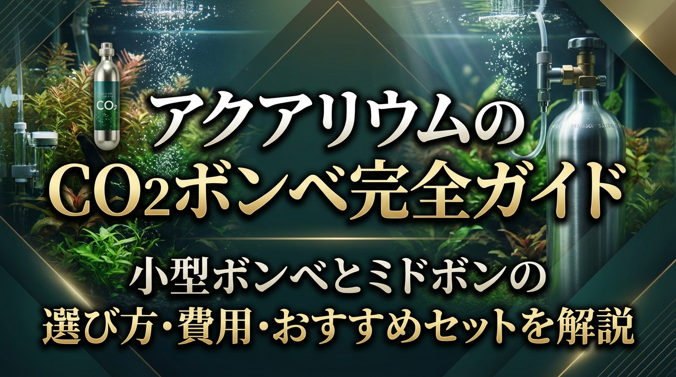 アクアリウムのCO2ボンベ完全ガイド｜小型ボンベとミドボンの選び方・費用・おすすめセットを解説