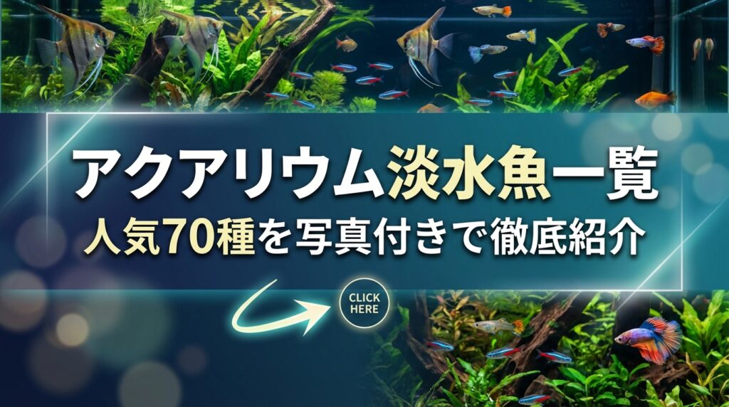 アクアリウム淡水魚一覧｜人気70種を写真付きで徹底紹介