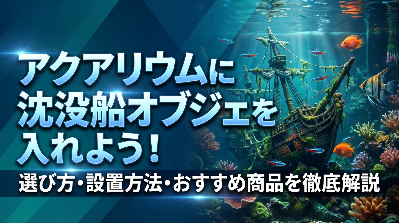アクアリウムに沈没船オブジェを入れよう！選び方・設置方法・おすすめ商品を徹底解説