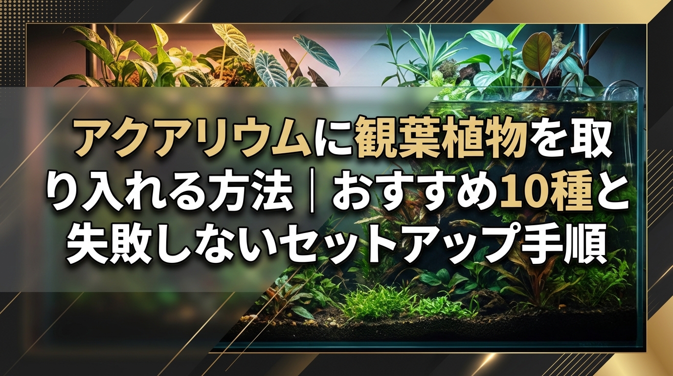 アクアリウムに観葉植物を取り入れる方法|おすすめ10種と失敗しないセットアップ手順