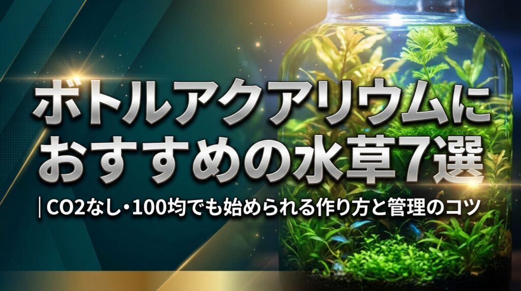 ボトルアクアリウムにおすすめの水草7選｜CO2なし・100均でも始められる作り方と管理のコツ