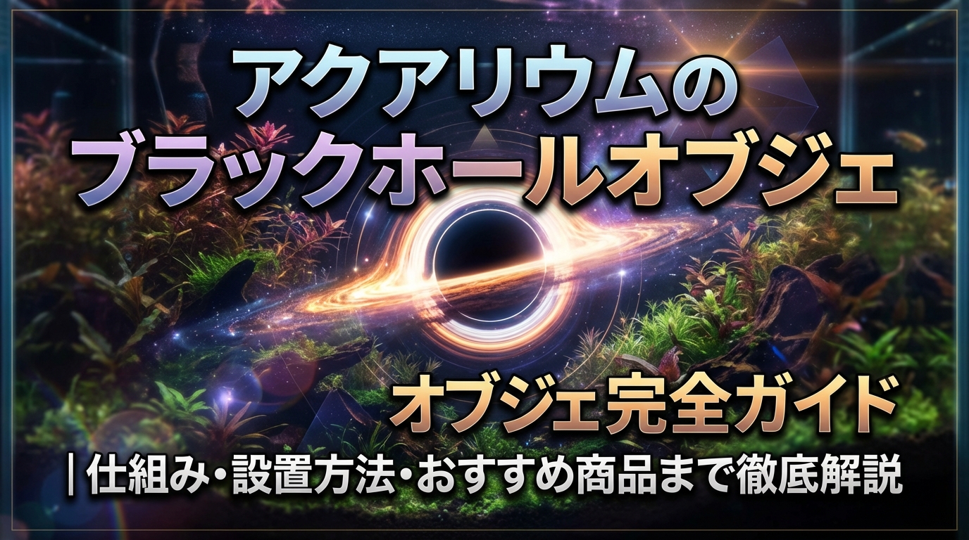 アクアリウムのブラックホールオブジェ完全ガイド|仕組み・設置方法・おすすめ商品まで徹底解説