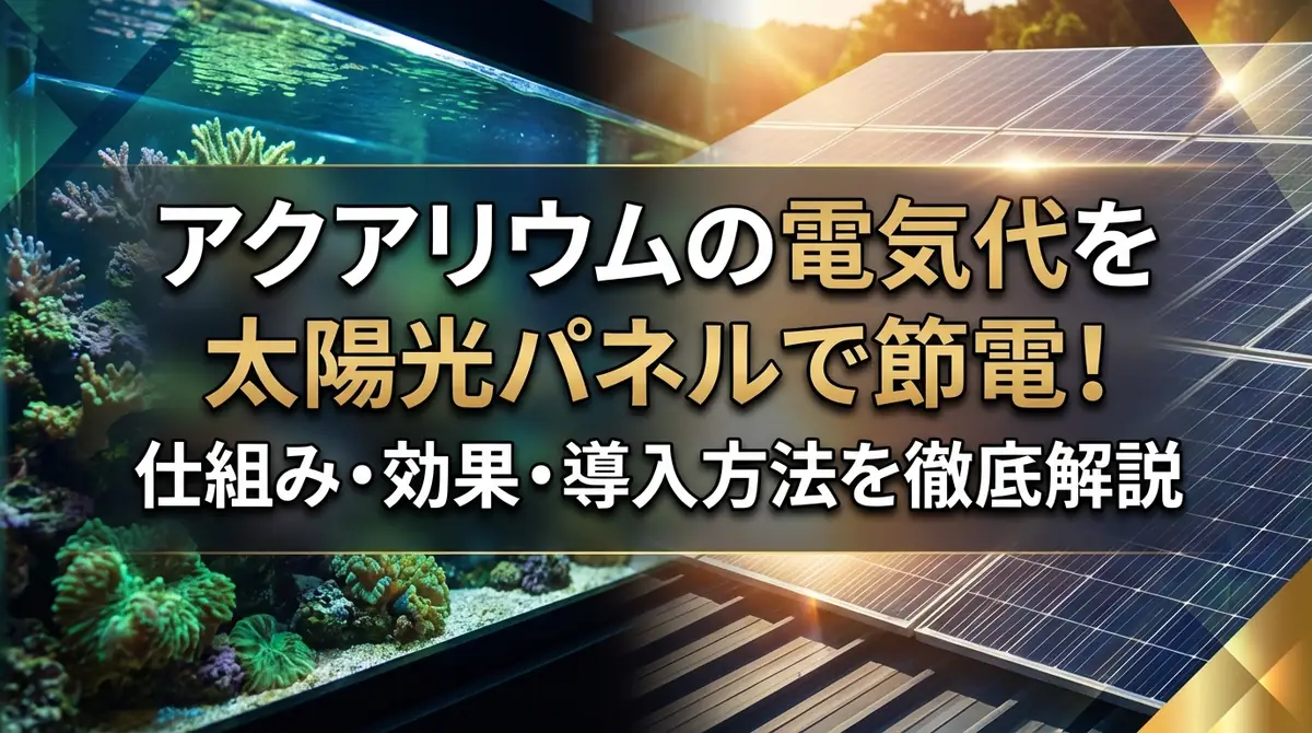 アクアリウムの電気代を太陽光パネルで節電！仕組み・効果・導入方法を徹底解説