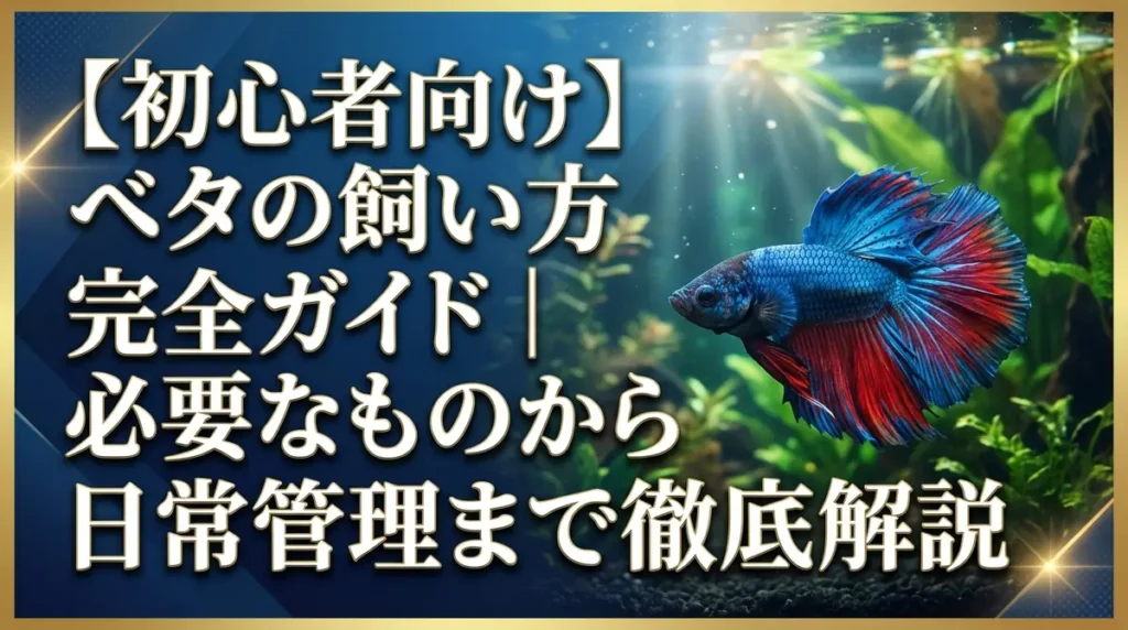 【初心者向け】ベタの飼い方完全ガイド｜必要なものから日常管理まで徹底解説