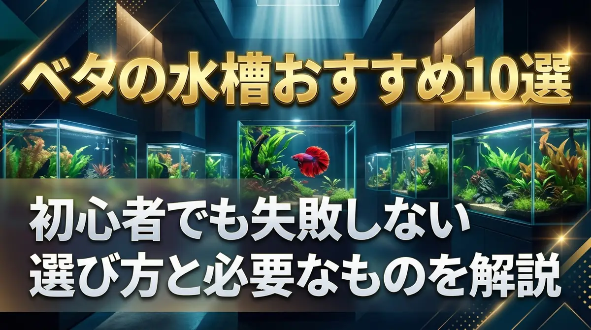 ベタの水槽おすすめ10選|初心者でも失敗しない選び方と必要なものを解説