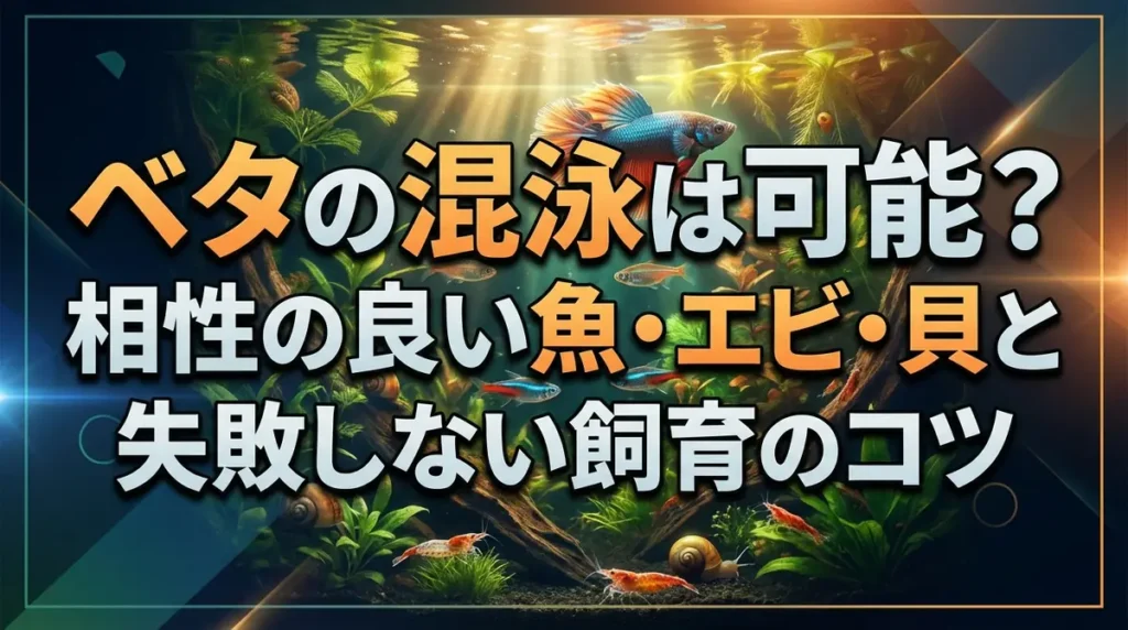 ベタの混泳は可能？相性の良い魚・エビ・貝と失敗しない飼育のコツ