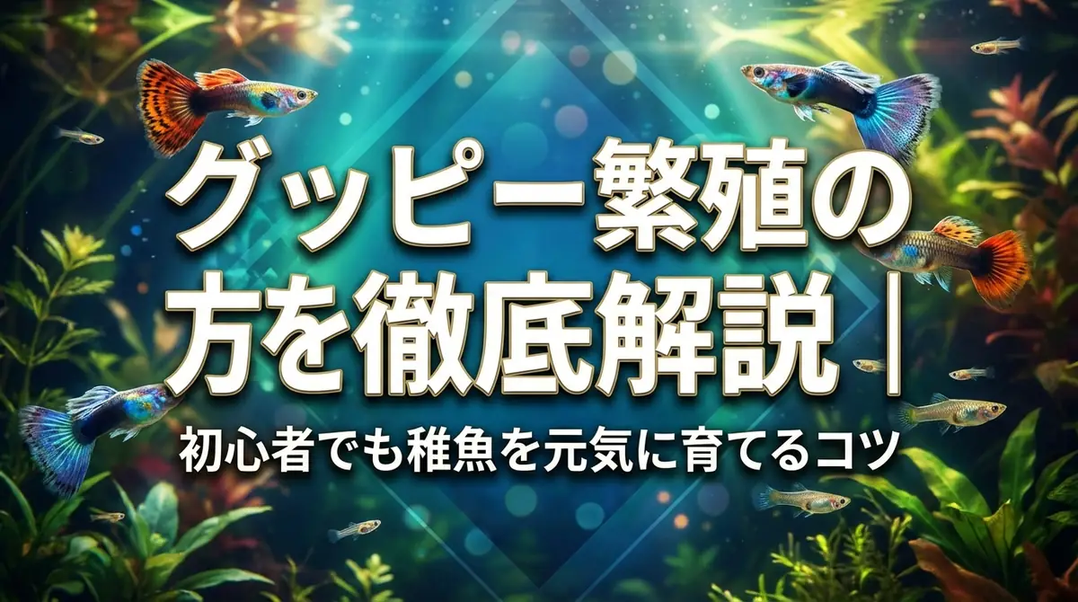 グッピー繁殖の方法を徹底解説｜初心者でも稚魚を元気に育てるコツ