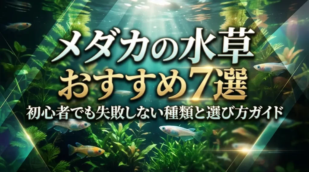 メダカの水草おすすめ7選｜初心者でも失敗しない種類と選び方ガイド