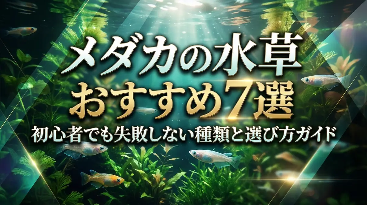 メダカの水草おすすめ7選｜初心者でも失敗しない種類と選び方ガイド