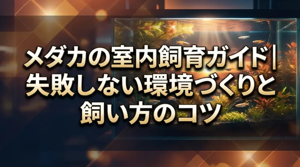 メダカの室内飼育ガイド｜失敗しない環境づくりと飼い方のコツ