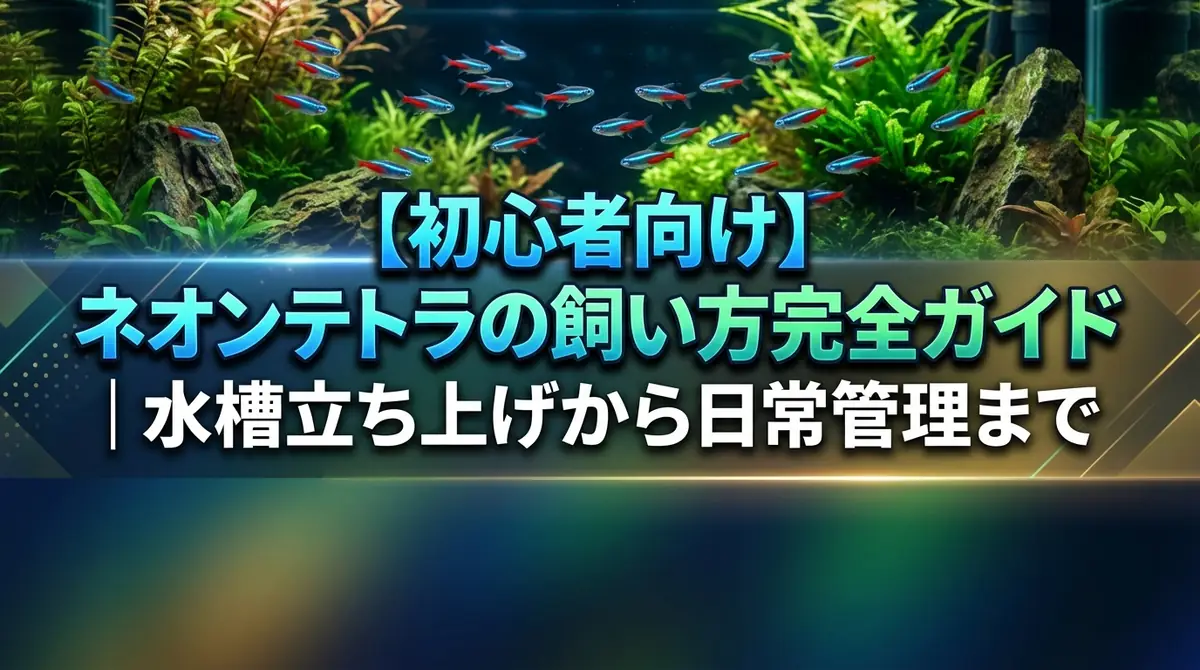 【初心者向け】ネオンテトラの飼い方完全ガイド｜水槽立ち上げから日常管理まで