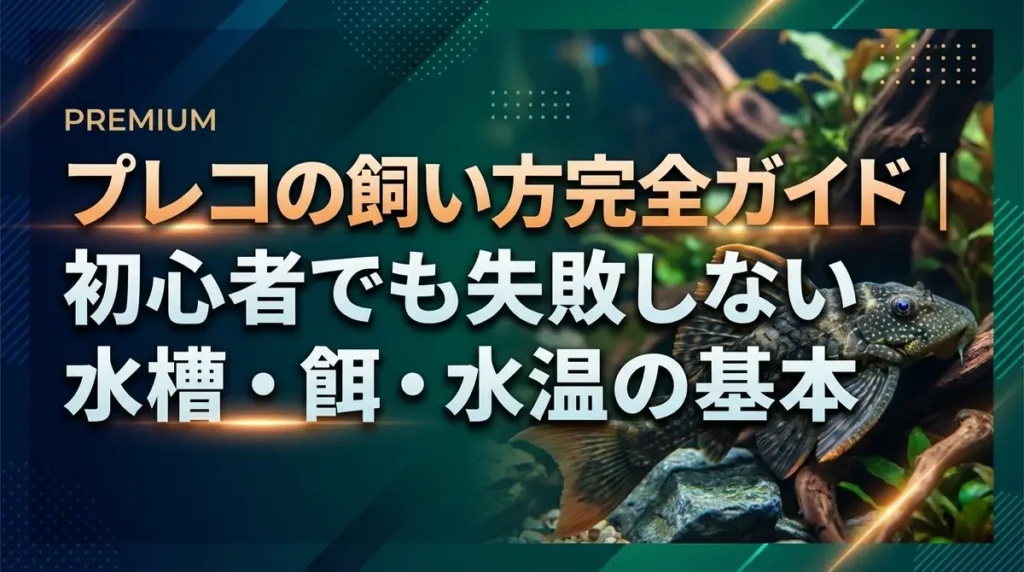 プレコの飼い方完全ガイド｜初心者でも失敗しない水槽・餌・水温の基本