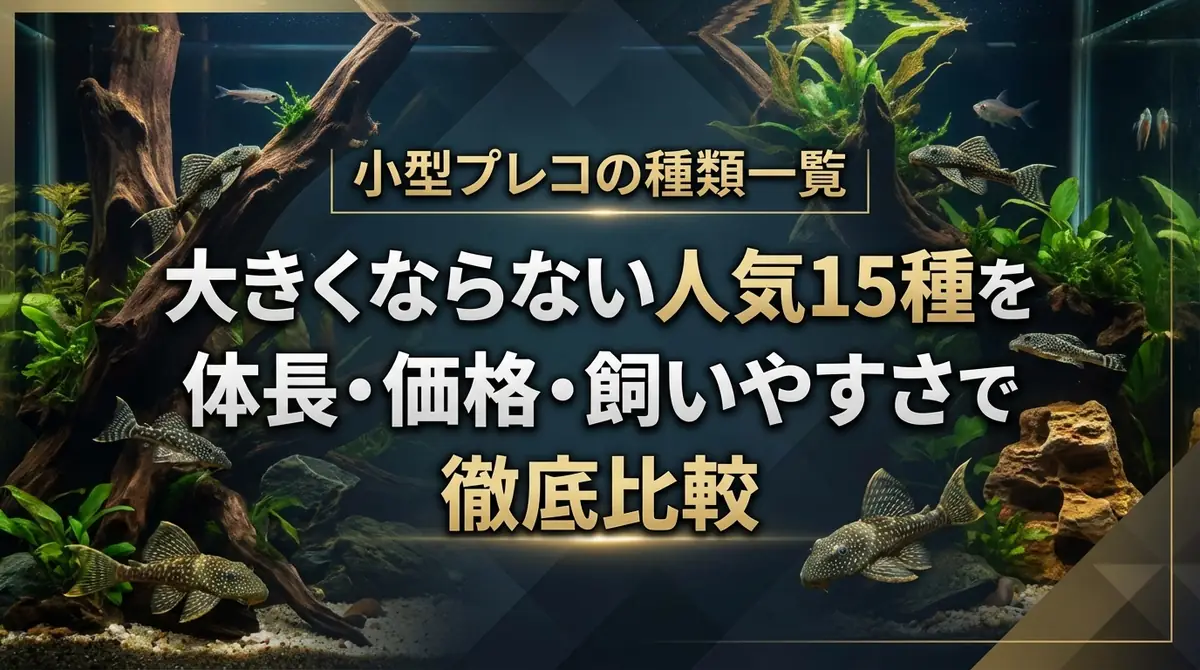 小型プレコの種類一覧|大きくならない人気15種を体長・価格・飼いやすさで徹底比較