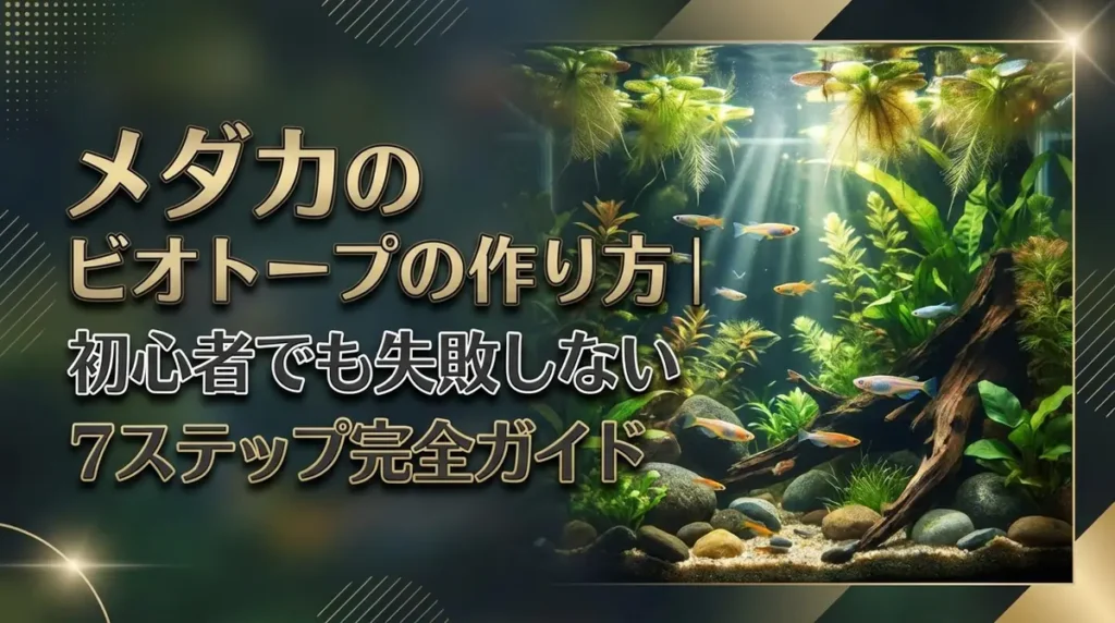メダカのビオトープの作り方｜初心者でも失敗しない7ステップ完全ガイド