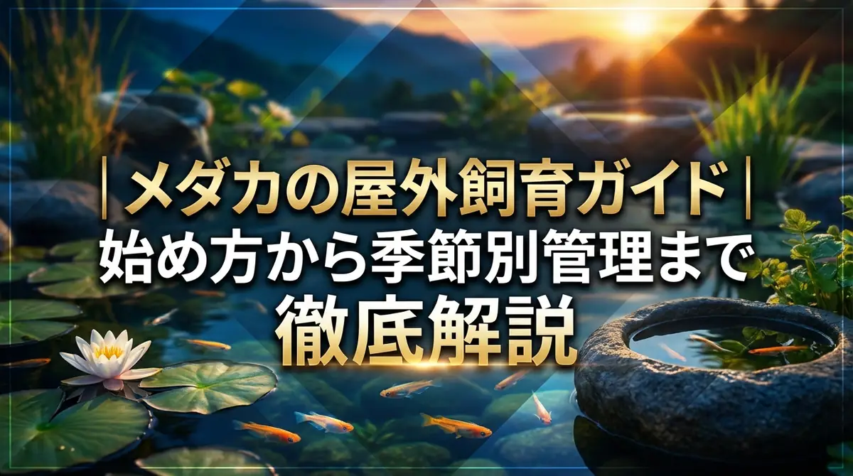 メダカの屋外飼育ガイド｜始め方から季節別管理まで徹底解説