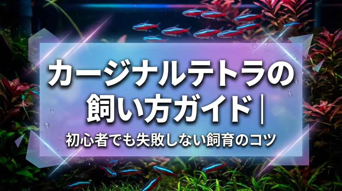 カージナルテトラの飼い方ガイド｜初心者でも失敗しない飼育のコツ