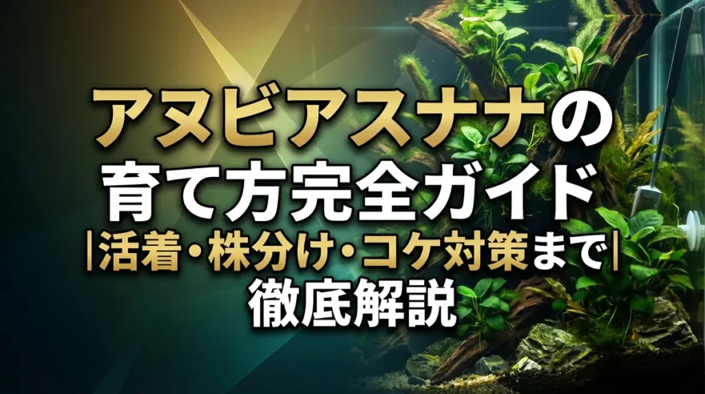 アヌビアスナナの育て方完全ガイド｜活着・株分け・コケ対策まで徹底解説