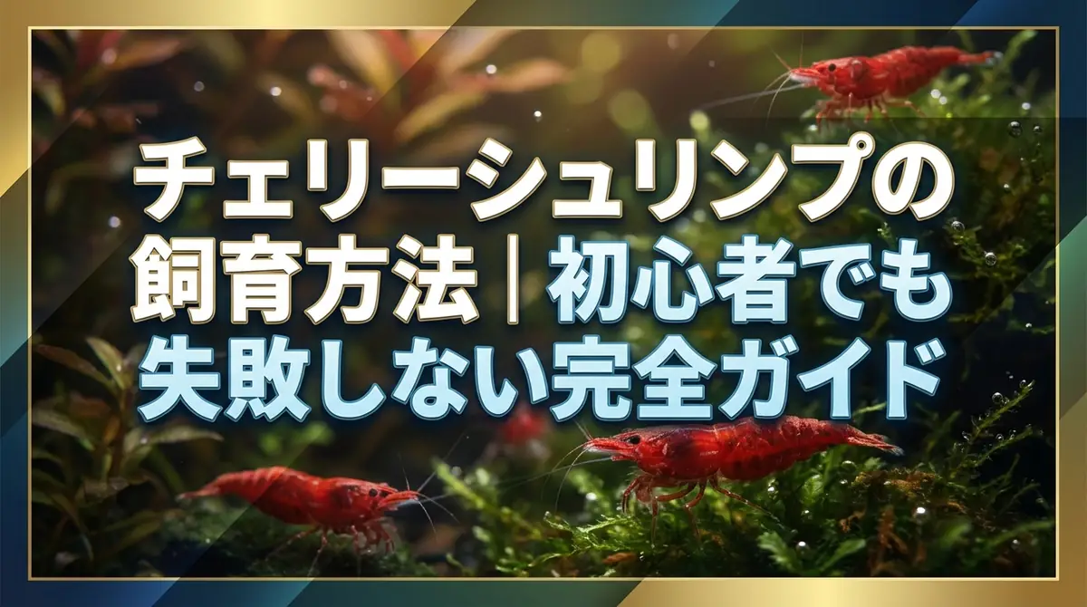 チェリーシュリンプの飼育方法|初心者でも失敗しない完全ガイド