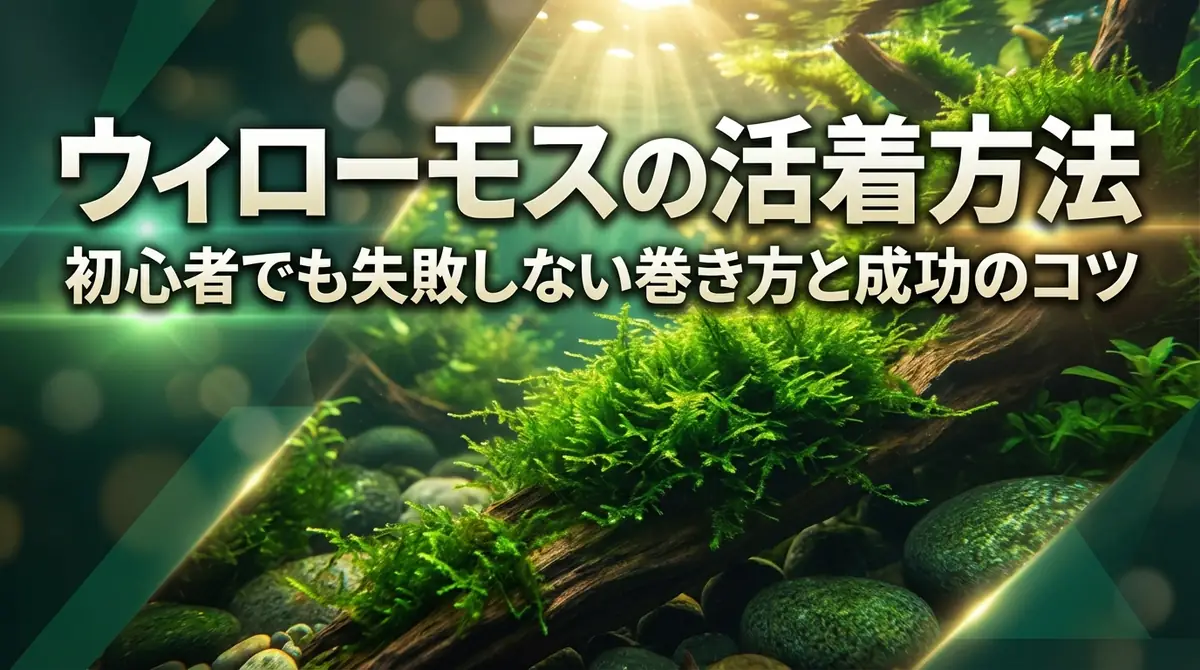 ウィローモスの活着方法|初心者でも失敗しない巻き方と成功のコツ