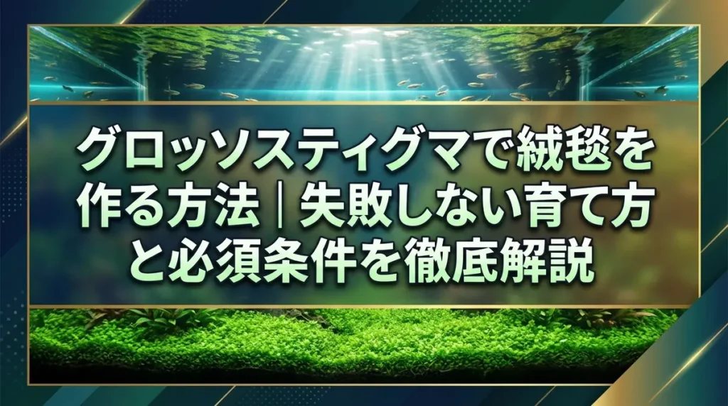 グロッソスティグマで絨毯を作る方法｜失敗しない育て方と必須条件を徹底解説